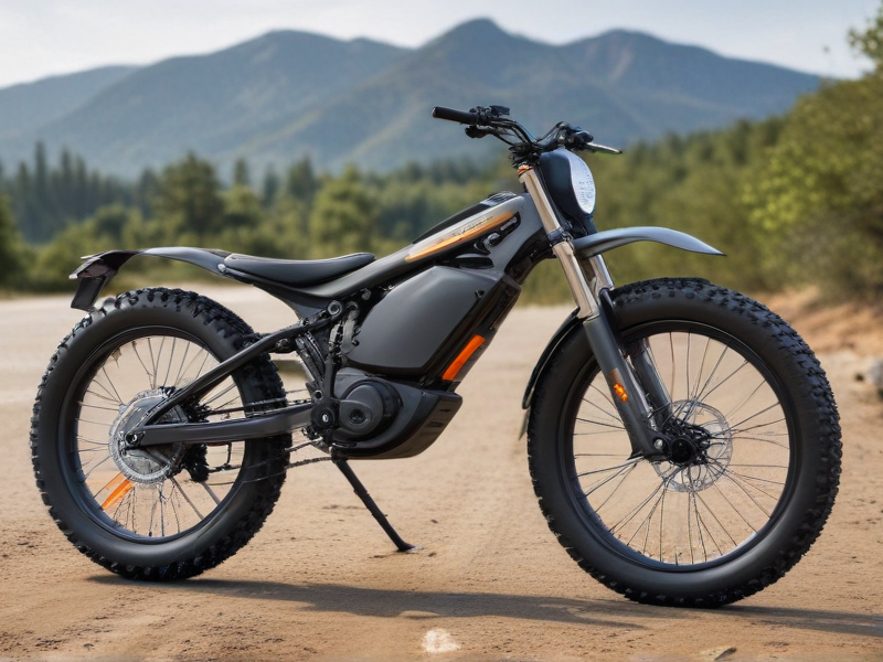 offroad ebike