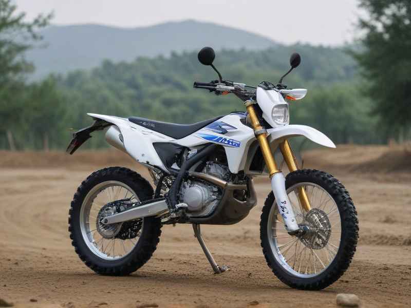 electric dirt bike adult