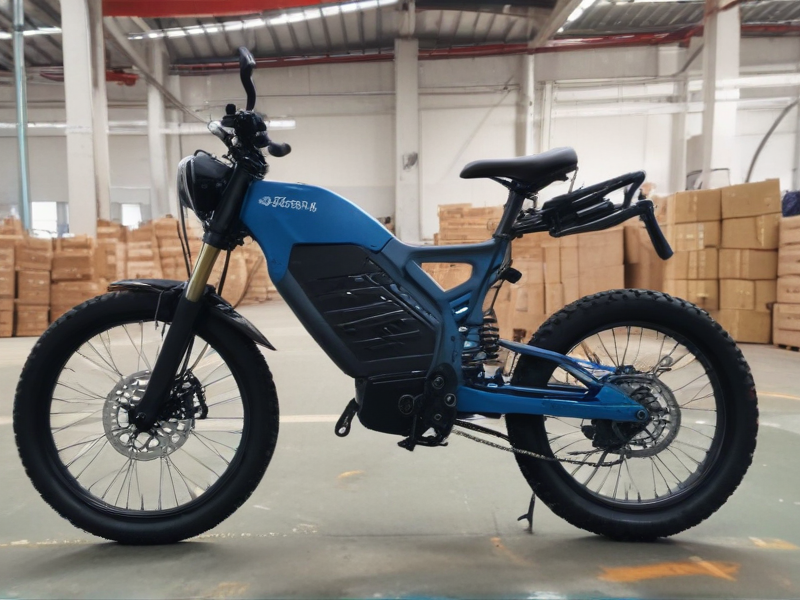 china electric bike